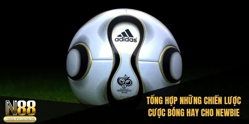 Cách Cá Cược Bóng Đá SABA Dành Cho Người Mới Với N88 3 Tổng hợp những chiến lược cược bóng hay cho newbie