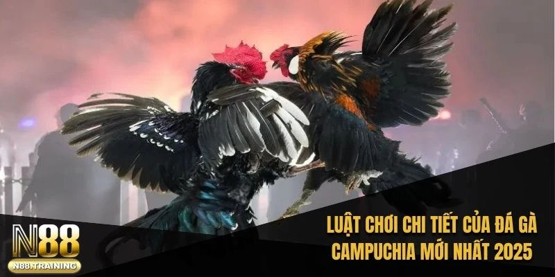 Đá Gà Campuchia – Cuộc Chơi Của Những Chiến Kê Dũng Mãnh 3 Luật chơi chi tiết của đá gà Campuchia mới nhất 2025