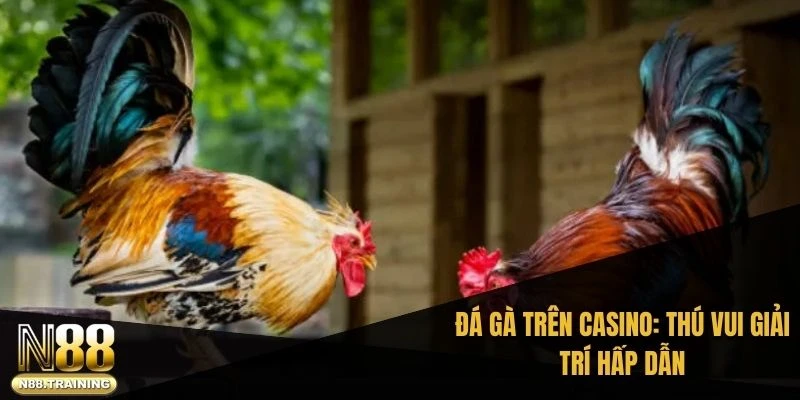 Đá Gà Trên Casino – Hành Trình Khám Phá Giải Trí Độc Đáo 1 Đá gà trên casino: Thú vui giải trí hấp dẫn