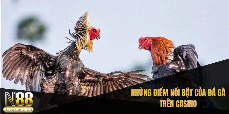 Đá Gà Trên Casino – Hành Trình Khám Phá Giải Trí Độc Đáo 2 Những điểm nổi bật của đá gà trên casino