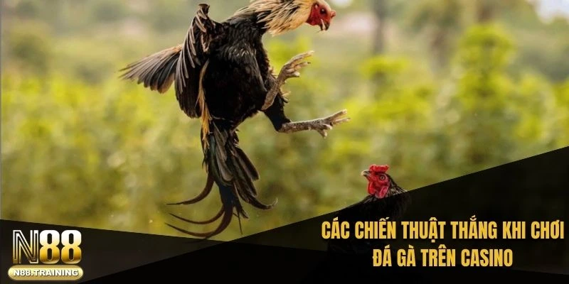 Đá Gà Trên Casino – Hành Trình Khám Phá Giải Trí Độc Đáo 3 Các chiến thuật thắng khi chơi đá gà trên casino