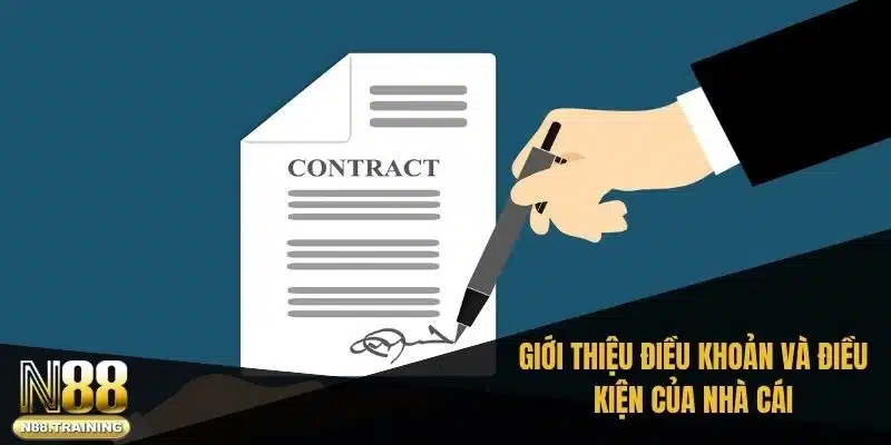 Điều Khoản Và Điều Kiện - Hướng Dẫn Sử Dụng Chi Tiết 2 Các điều khoản chung của nhà cái đối với khách hàng